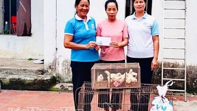 Hỗ trợ sinh kế cho hội viên khó khăn
