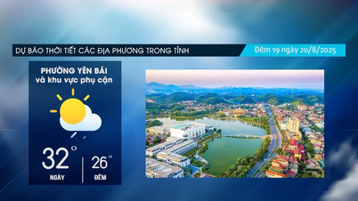 Vùng núi có mưa vừa, có nơi mưa to