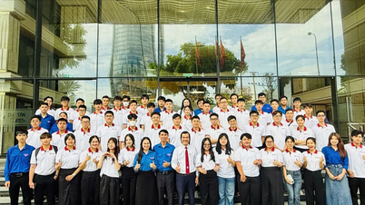 105 sinh viên hỗ trợ chuyển đổi số tại các phường, xã ở Đà Nẵng