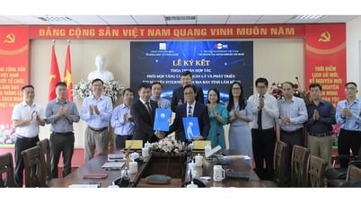 VNNIC và Lâm Đồng bắt tay thúc đẩy chuyển đổi số bằng tài nguyên Internet