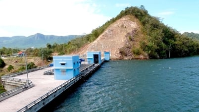 Ensuring safety of irrigation works