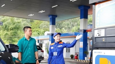 Giá xăng dầu hôm nay 19/8: Dầu thế giới bật tăng trở lại