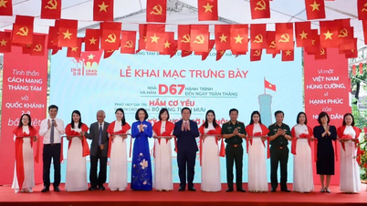 Khai mạc chuỗi trưng bày, triển lãm về di tích lịch sử, di tích Cách mạng