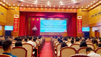 Hội nghị tập huấn triển khai Nghị định số 219/2025/NĐ-CP ngày 07/8/2025 của Chính phủ