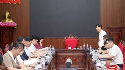 Đẩy nhanh tiến độ thực hiện Chương trình mục tiêu quốc gia 1719 về lĩnh vực văn hóa