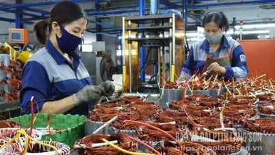 Trụ cột kinh tế tư nhân