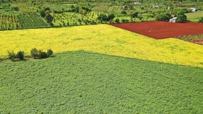 Mã vùng trồng nội địa - chuẩn hóa nông sản từ bên trong