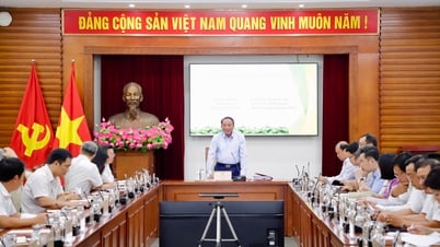Ministère de la Culture, des Sports et du Tourisme : Projet de résolution sur la renaissance et le développement de la culture vietnamienne dans la nouvelle ère