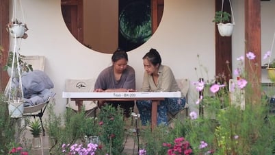 Vì sao nhiều người đầu tư homestay, farmstay thất bại chóng vánh?