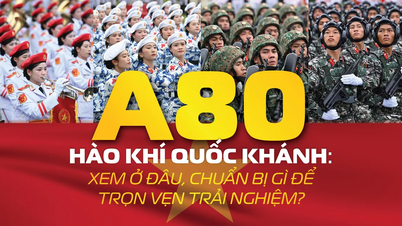 A80 – Hào khí Quốc khánh: Xem ở đâu, chuẩn bị gì để trọn vẹn trải nghiệm?
