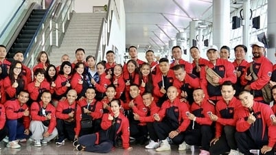 Thể hình Việt Nam tham dự 2 giải quốc tế