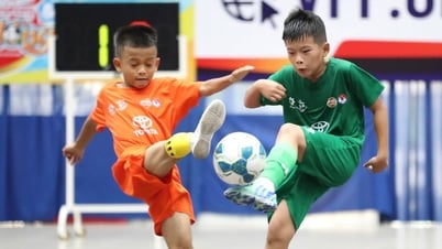 Xác định 8 đội bóng vào vòng tứ kết giải U.9 toàn quốc Toyota Cup 2025