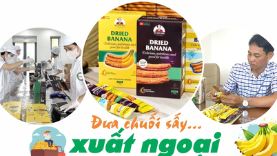 Đưa chuối sấy... xuất ngoại