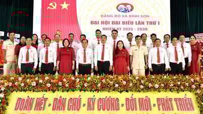 Đại hội đại biểu Đảng bộ xã Bình Sơn