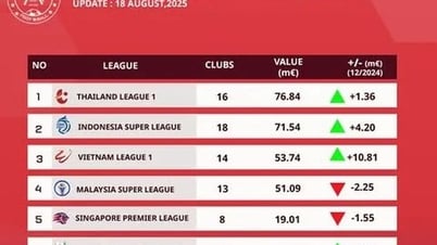 صعدت بطولة الدوري الفيتنامي إلى المركز الثالث بين البطولات الأكثر قيمة في جنوب شرق آسيا