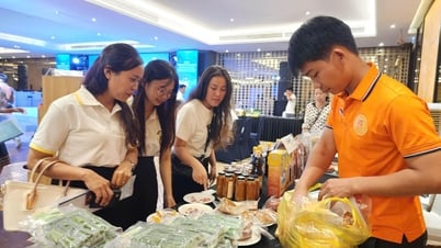 Hỗ trợ doanh nghiệp: Một bàn tay khó làm nên tiếng vỗ - Bài 2: Đồng hành từ chính sách
