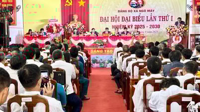 Xã Ngô Mây phấn đấu thu nhập bình quân đầu người đạt 82,5 triệu đồng/năm