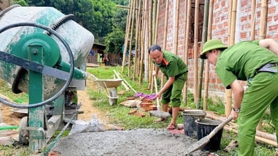 Những việc làm nhân văn