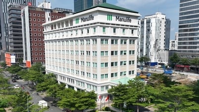 Manulife Việt Nam chi trả gần 4.000 tỉ đồng quyền lợi bảo hiểm 6 tháng đầu năm 2025