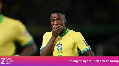 Ancelotti gạch tên Vinicius khỏi tuyển Brazil ở vòng loại World Cup