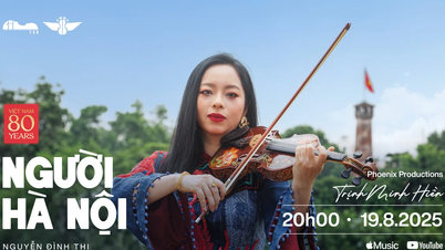 ‘Lấp lánh vàng sao’: Những ngân rung dịu dàng cuộn trào tình yêu đất nước