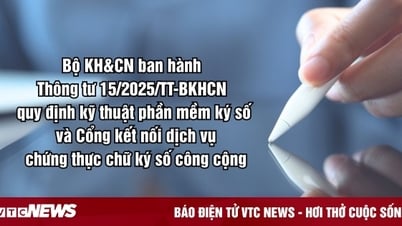 Phần mềm chữ ký số phải có chức năng kiểm tra hiệu lực trước khi thực hiện 