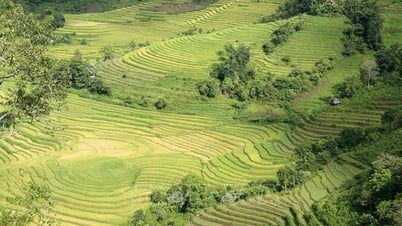 Lao Cai: Viele attraktive „Touchpoints“ locken am Nationalfeiertag Touristen nach Sa Pa