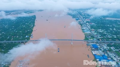 Không khí trước giờ khánh thành cầu Rạch Miễu 2