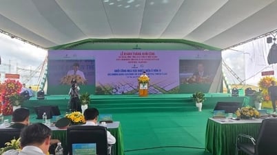 Cần Thơ: Khởi công nhà máy Nhiệt điện Ô Môn IV