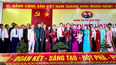 Xã Ngô Mây cần kế thừa các quy hoạch của 3 xã cũ để tìm kiếm dư địa, động lực tăng trưởng mới