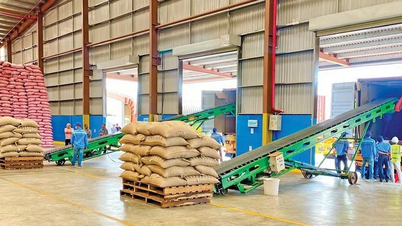 Kim ngạch xuất khẩu nông-lâm-thủy sản 7 tháng tăng trưởng 14,7%