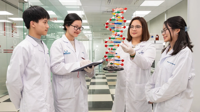 Giáo dục đại học sau sáp nhập: Yêu cầu cấp thiết thúc đẩy liên kết