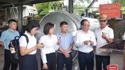 Nghiệm thu Đề án: “Hỗ trợ ứng dụng máy móc, thiết bị tiên tiến vào sản xuất chế biến hoa quả”