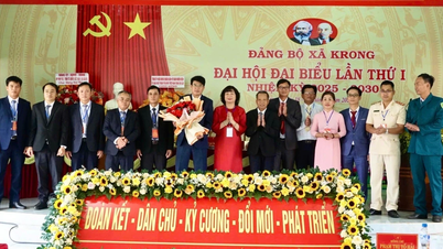 Krong tập trung thực hiện 4 nhiệm vụ trọng tâm và 3 khâu đột phá