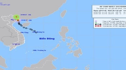 Áp thấp nhiệt đới đang trên vùng biển Quảng Ninh - Hải Phòng, gió giật cấp 8