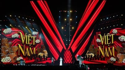 Sức hút từ những 'concert quốc gia'
