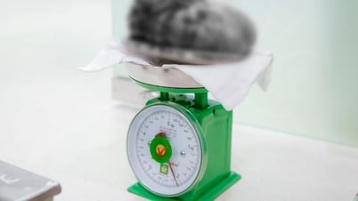 Đau quặn bụng, cô gái trẻ đi khám phát hiện khối u tới 2,1kg
