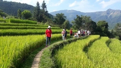 Phát triển du lịch - nông nghiệp: 'cơ hội vàng' để địa phương bứt phá