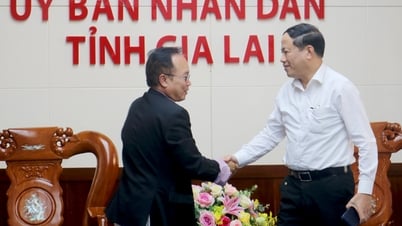 Chủ tịch UBND tỉnh Phạm Anh Tuấn làm việc với Công ty TORmem