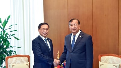 Việt Nam mong Campuchia - Thái Lan xây dựng lại lòng tin, tìm giải pháp hòa bình