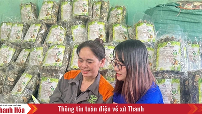 “Chìa khóa” mở lối cho kinh tế nông thôn bền vững