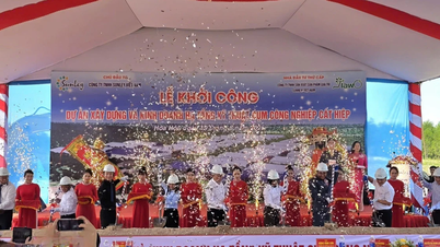 Khởi công Dự án Xây dựng và Kinh doanh hạ tầng kỹ thuật Cụm công nghiệp Cát Hiệp