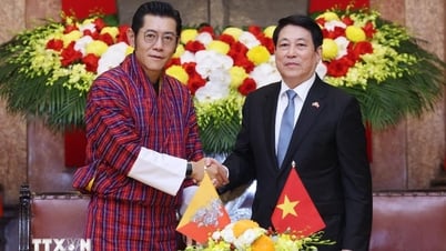 Việt Nam và Bhutan sẽ mở rộng hơn nữa hợp tác trong các lĩnh vực quan trọng