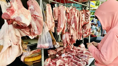 Giá heo hơi hôm nay 19/8: Giảm đồng loạt