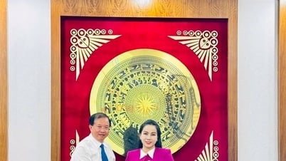 Bà Phạm Mỹ Hoa làm tân Phó Cục trưởng Cục Mỹ thuật, Nhiếp ảnh và Triển lãm