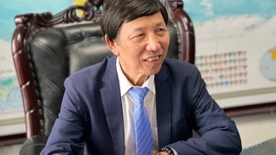 Вьетнам постепенно укрепляет свои экономические позиции за счет прямых иностранных инвестиций (ПИИ) и зарубежных иностранных инвестиций (ВЗИ)