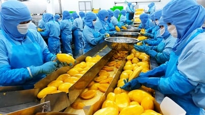 An Giang giải bài toán tăng trưởng 2 con số