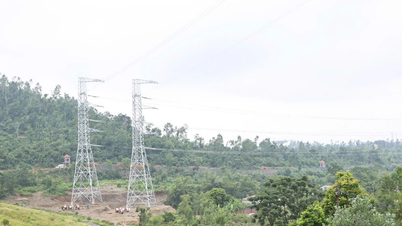 Đường dây 500kV Lào Cai-Vĩnh Yên: Quyết liệt về đích