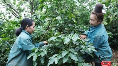 Nhiều hoạt động hỗ trợ hội viên thoát nghèo