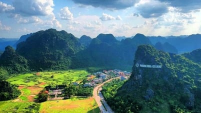 Phát hiện chuột đá tuyệt chủng 11 triệu năm ở Phong Nha – Kẻ Bàng: Là “hiệu ứng hồi sinh”, không phải tồn tại vĩnh viễn